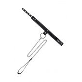 Черный узкий однослойный ошейник с серебристым поводком-цепочкой - Pecado - купить с доставкой в Ульяновске