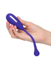 Фиолетовый шарик с электростимуляцией и вибрацией Intimate E-Stimulator Remote Kegel Exerciser - California Exotic Novelties - купить с доставкой в Ульяновске