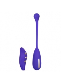 Фиолетовый шарик с электростимуляцией и вибрацией Intimate E-Stimulator Remote Kegel Exerciser - California Exotic Novelties - купить с доставкой в Ульяновске