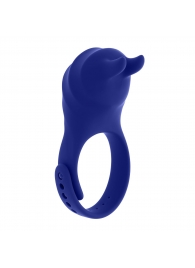 Синее эрекционное виброкольцо с клиторальной подушечкой и пультом ДУ Adjustable Fun Ring - Zero Tolerance - в Ульяновске купить с доставкой
