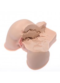 Мастурбатор-полуторс Naked Factory Kate - Naked Factory - в Ульяновске купить с доставкой