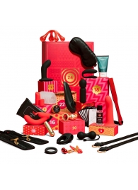 Адвент-календарь Lovehoney Couple’s Advent Calendar 2025 - We-vibe - купить с доставкой в Ульяновске