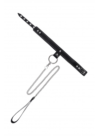 Черный узкий однослойный ошейник с серебристым поводком-цепочкой - Pecado - купить с доставкой в Ульяновске