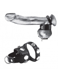 Утяжка для мошонки и пениса Cock Ring With 1  Ball Stretcher And Optional Weight Ring - BlueLine - купить с доставкой в Ульяновске