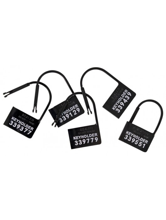 Набор для мужского пояса верности Cock Cage Set - Orion - купить с доставкой в Ульяновске