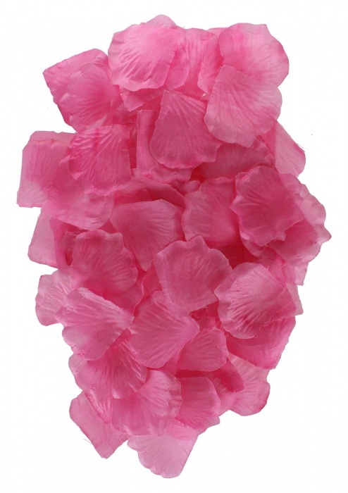 Эротический набор FANTASTIC PURPLE SEX TOY KIT - Toy Joy - купить с доставкой в Ульяновске