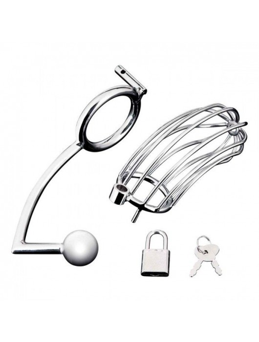 Серебристая металлическая клетка с анальным стимулятором Cock Cage - BlueLine - купить с доставкой в Ульяновске