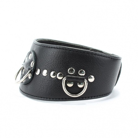Чёрный кожаный ошейник с полукольцами и клёпками - БДСМ Арсенал - купить с доставкой в Ульяновске