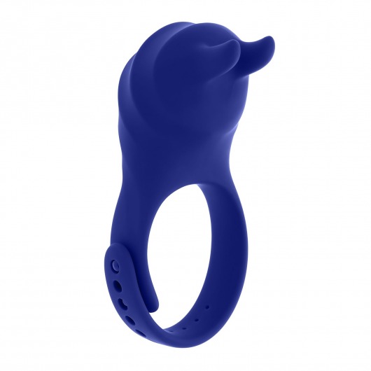 Синее эрекционное виброкольцо с клиторальной подушечкой и пультом ДУ Adjustable Fun Ring - Zero Tolerance - в Ульяновске купить с доставкой