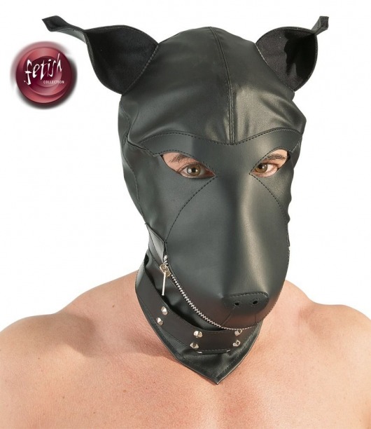 Шлем-маска Dog Mask в виде морды собаки - Orion - купить с доставкой в Ульяновске