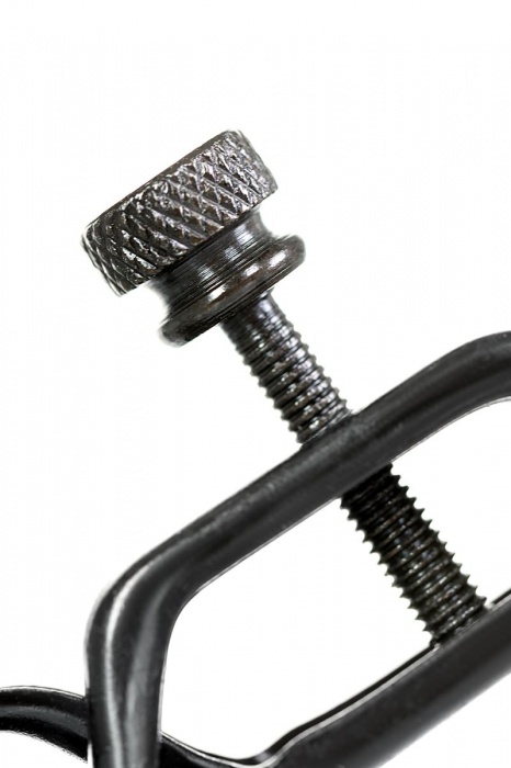 Черно-золотистые зажимы для сосков TOYFA Theatre - ToyFa - купить с доставкой в Ульяновске