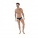 Черные мужские трусы-брифы Clever Latin Brief - Clever Masculine Underwear купить с доставкой